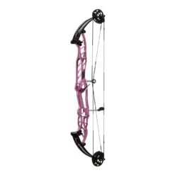 Hoyt Stratos 40 HBT Compound Bows 2024 15 Hoyt Stratos 40 HBT Compound Bows 2024 -EASTON Shop 40hbtstardust 1