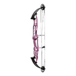 Hoyt Stratos 40 SVX Compound Bows 2024 -EASTON Shop 40svxstardust 1