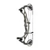 Hoyt Carbon RX-7 Compound Bow - Mod 2 -EASTON Shop carbon rx 7 buckskin